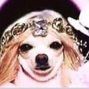 Meet your Posher, Ana